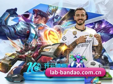 半岛体育 APP 界面